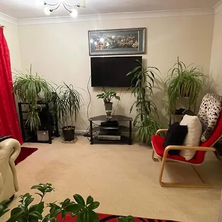 Cozy Homestay Croydon Exterior photo