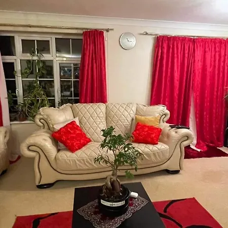 Cozy Homestay Croydon Exterior photo