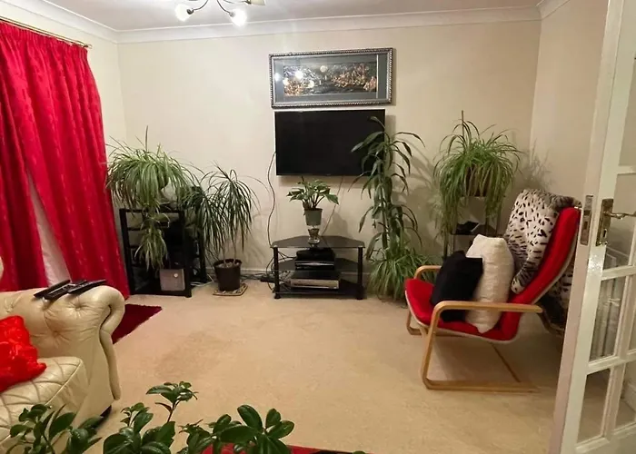 Cozy Homestay