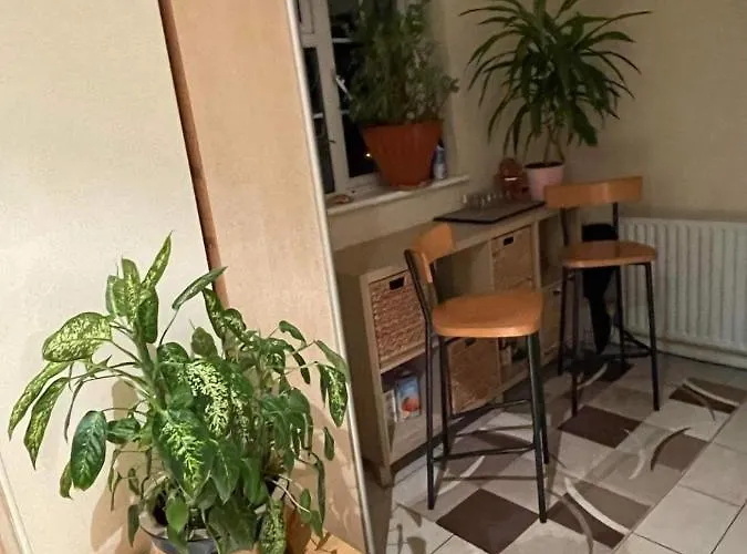 Cozy Homestay