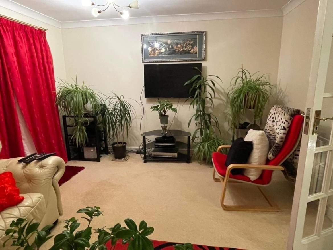 Homestay Cozy *