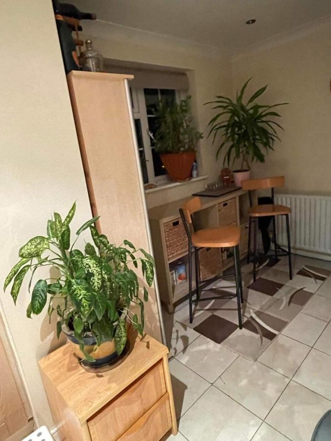 Homestay Cozy Croydon