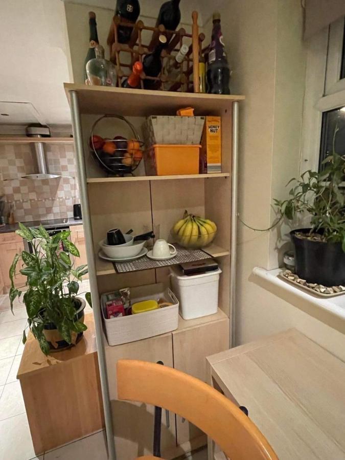 Cozy Homestay Croydon