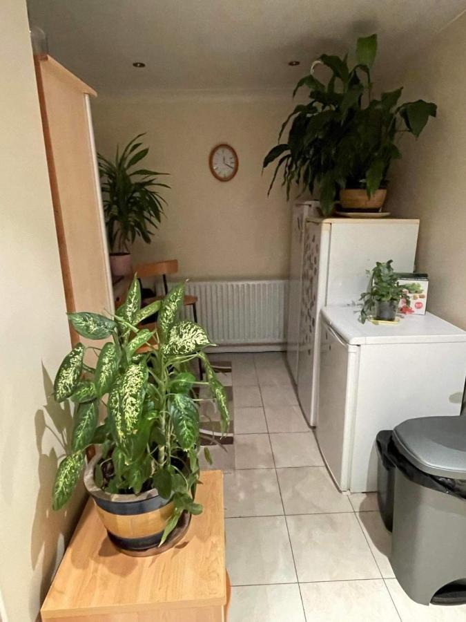 Accommodatie bij particulieren Cozy *
